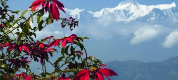 Under verdens tag. Vandre- og kulturrejse i Nepal, påsken 2015