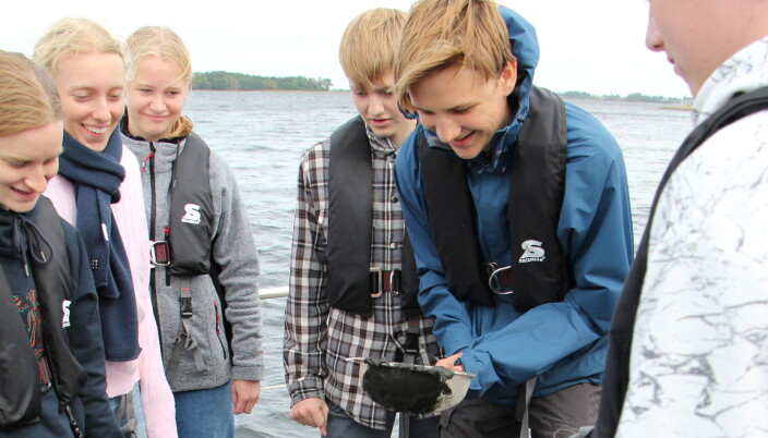 En kulsort havbundsprøve sigtes. En liflig lugt af svovl breder sig. En kulsort havbundsprøve sigtes. En liflig lugt af svovl breder sig.