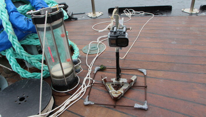 En hjemmegjort undervandsfilmer giver eleverne mulighed for at stikke hovedet i havet per stedfortræder En hjemmegjort undervandsfilmer giver eleverne mulighed for at stikke hovedet i havet per stedfortræder
