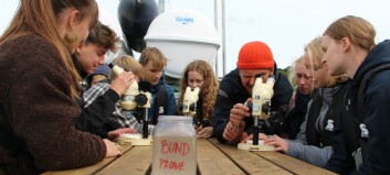 Sidste sensommer-tur med minestrygeren: Elever undersøger havmiljøet i Roskilde Fjord