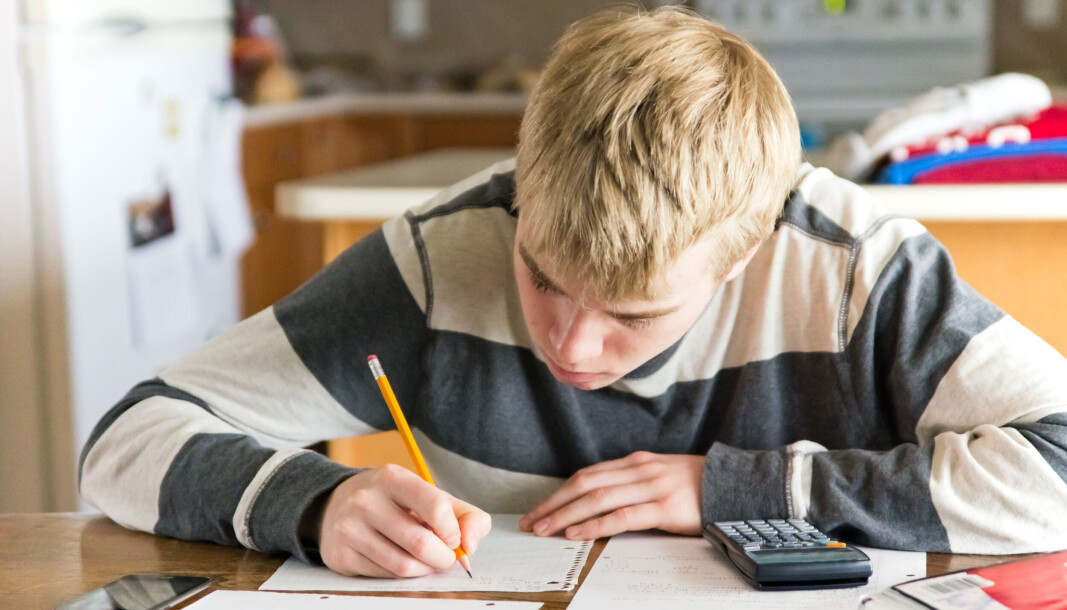 Alle skoler skal have en uddannet matematikvejleder, og eleverne skal have mere feedback i matematikundervisningen. Sådan lyder et par af forslagene i en ny rapport, der har kigget på, hvordan matematikfaget kan løftes. Alle skoler skal have en uddannet matematikvejleder, og eleverne skal have mere feedback i matematikundervisningen. Sådan lyder et par af forslagene i en ny rapport, der har kigget på, hvordan matematikfaget kan løftes.