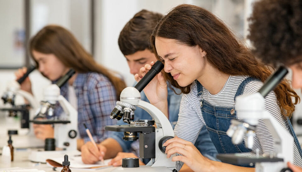 Elever kigger i mikroskop - fsgratis