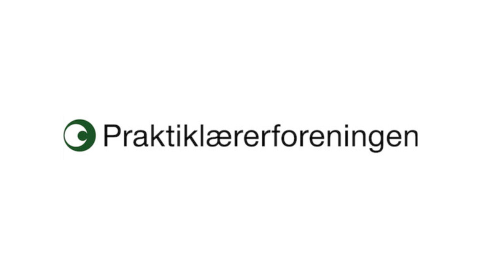 Nutidens unge - fremtidens kolleger