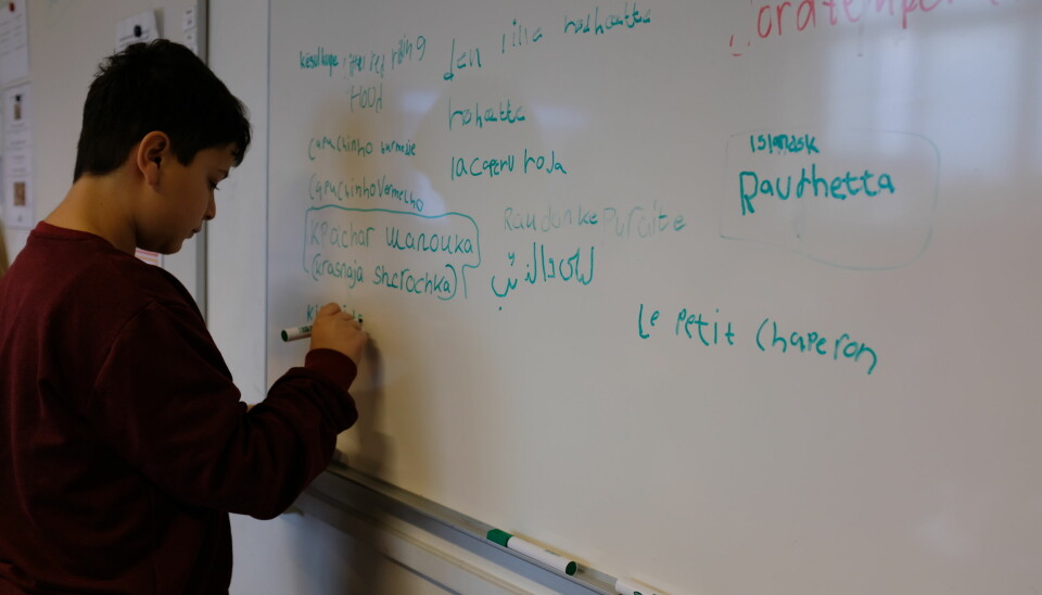En elev er oppe og tilføje endnu et sprog, som eleverne kender Den Lille Rødhætte på.