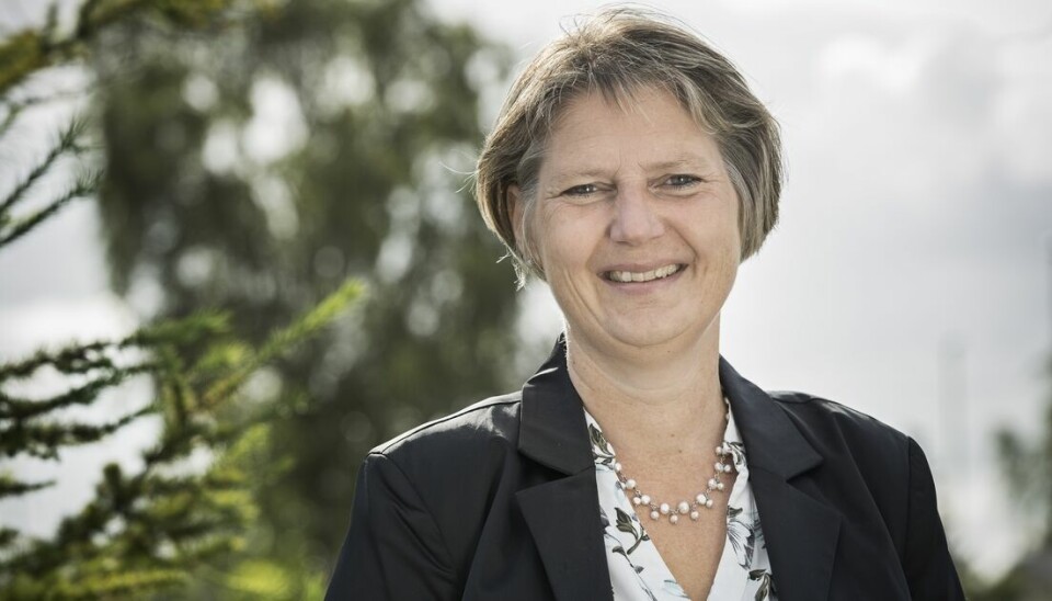 Hanne Bak Lumholt har tidligere bl.a. arbejdet i KL og senest været udviklingschef i Det Nationale Sorgcenter.