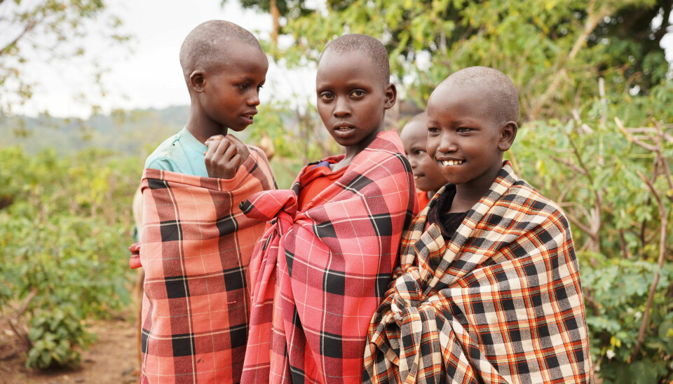 Masaidrenge fra Kenya. Her kæmper mange familier med mod fattigdom, sygdom og tørke. Derfor er børnene nødt til at blive hjemme og passe marker og kvæg i stedet for at gå i skole.