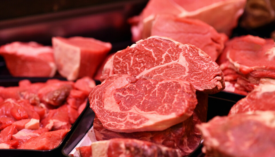 Tre slags kød kan blive forbudt på vuggestuer, børnehaver og skoler i København.