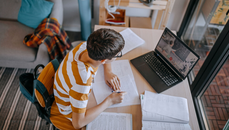 Må ikke bruge private onlineskoler - nu åbner kommune sin egen