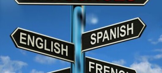 Forlænget frist til tre-årigt forsøg med spansk