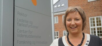 UC Sjælland: Grundtvig er stadig relevant – men vi må prioritere vores forskning