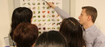 I Japan laver eleverne mad med maske på
