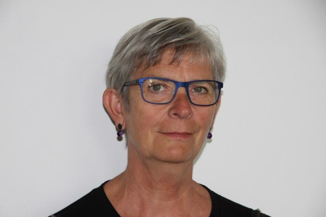 Ideerne i resursebanken skal have et Skive DNA, fortæller udviklingskonsulent Kirsten Jørgensen i Skive Kommune Ideerne i resursebanken skal have et Skive DNA, fortæller udviklingskonsulent Kirsten Jørgensen i Skive Kommune