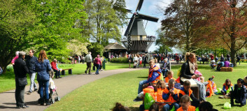 Verdens frieste lærere går rundt i Holland