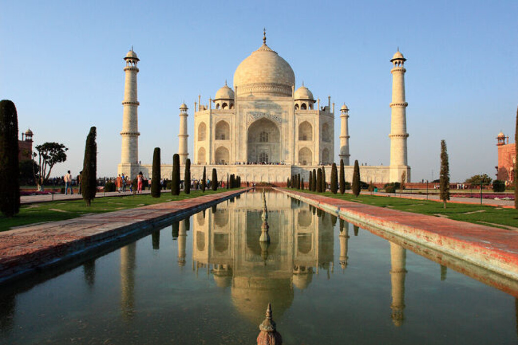 Tag til Indien med Folkeskolen og Albatros i påsken og oplev Nordindiens kultur og natur. Tag til Indien med Folkeskolen og Albatros i påsken og oplev Nordindiens kultur og natur.