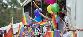 Aarhus-politikere siger nej til unges forslag om mangfoldighedsfest