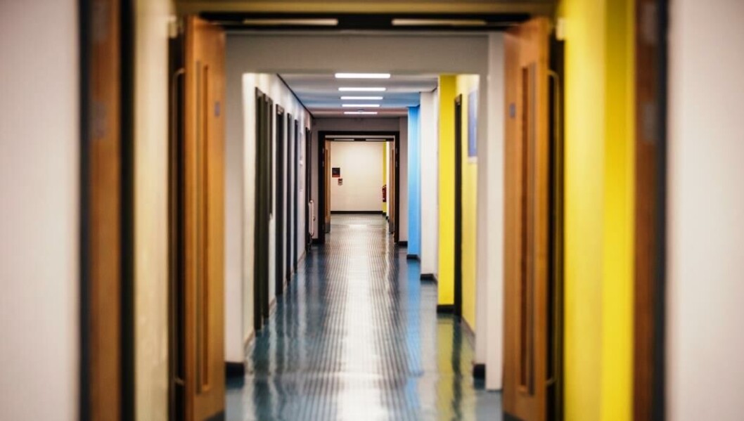 Blandt de 24 friskoler, som er anmeldt til at åbne til næste år, bunder tre ganske vist i truslen om en skolenedlæggelse, men alle tre folkeskoler ser ud til at overleve. Blandt de 24 friskoler, som er anmeldt til at åbne til næste år, bunder tre ganske vist i truslen om en skolenedlæggelse, men alle tre folkeskoler ser ud til at overleve.
