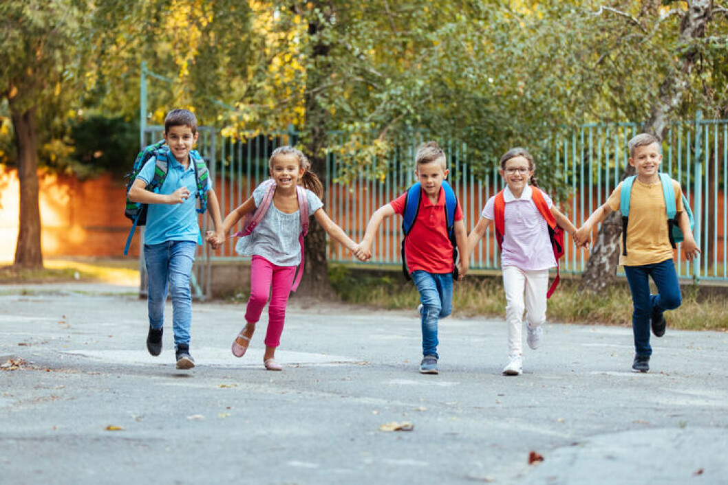 Årets ekstra frihed til at konvertere understøttende undervisning medfører kortere skoledage og flere tolærerordninger på mange skoler. Årets ekstra frihed til at konvertere understøttende undervisning medfører kortere skoledage og flere tolærerordninger på mange skoler.